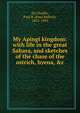 My Apingi kingdom: with life in the great Sahara, and sketches of the chase of the ostrich, hyena, &c, Paul B. Du Chaillu 