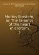 Morley Ernstein, or, The tenants of the heart microform. 3, G. P. James 