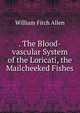 . The Blood-vascular System of the Loricati, the Mailcheeked Fishes, William Fitch Allen 