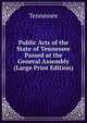Public Acts of the State of Tennessee Passed at the General Assembly (Large Print Edition), Tennessee 
