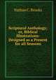 Scriptural Anthology; or, Biblical Illustrations: Designed as a Present for all Seasons., Nathan C. Brooks 