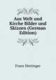 Aus Welt und Kirche Bilder und Skizzen (German Edition), Franz Hettinger 