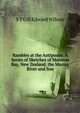 Rambles at the Antipodes: A Series of Sketches of Moreton Bay, New Zealand, the Murray River and Sou, S T Gill Edward Wilson 