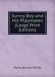 Sunny Boy and His Playmates (Large Print Edition), Ramy Allison White 