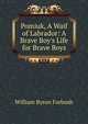 Pomiuk, A Waif of Labrador: A Brave Boy's Life for Brave Boys, Forbush, William Byron 