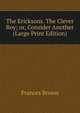 The Ericksons. The Clever Boy; or, Consider Another (Large Print Edition), Frances Brown 