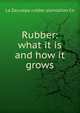 Rubber: what it is and how it grows, La Zacualpa rubber plantation Co 
