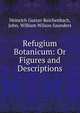 Refugium Botanicum: Or Figures and Descriptions, Heinrich Gustav Reichenbach, John, William Wilson Saunders 