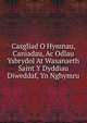 Casgliad O Hymnau, Caniadau, Ac Odlau Ysbrydol At Wasanaeth Saint Y Dyddiau Diweddaf, Yn Nghymru, 