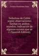 Nebulosa de Colon segun observaciones hechas en ambos mundos; indicacion de algunos errores que se c (Spanish Edition), Cesareo Fernandez Duro 