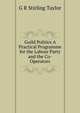 Guild Politics A Practical Programme for the Labour Party and the Co-Operators, G R Stirling Taylor 
