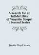 A Search for an Infidel: Bits of Wayside Gospel : Second Series, Jenkin Lloyd Jones 