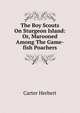 The Boy Scouts On Sturgeon Island: Or, Marooned Among The Game-fish Poachers, Carter Herbert 