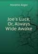 Joe's Luck, Or, Always Wide Awake, Horatio Alger 