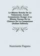 Le Bbinte Rotola De Lo Valanzone, Azzo? Commiento Ncopp' A Le Bbinte Norme De La Chiazza De Lo Campejone (Italian Edition), Nunziante Pagano 