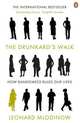 The Drunkard's Walk: How Randomness Rules Our Lives, Leonard Mlodinow 
