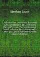 Les Industries Insalubres: Rapports Sur Leurs Dangers Et Les Moyens De Les Pr?venir, Particuli?rement Dans L'industrie Des Allumettes Et Celles Qui . Des Couleurs De Plomb . (French Edition), Stephan Bauer 