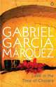 Love in the Time of Cholera, Marquez, G.G., Gabriel Garcia Marquez 
