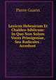 Lexicon Hebraicum Et Chaldeo-biblicum: In Quo Non Solum Voces Primigeniae, Seu Radicales . Accedunt ., Pierre Guarin 