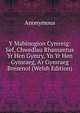 Y Mabinogion Cymreig: Sef, Chwedlau Rhamantus Yr Hen Gymry, Yn Yr Hen Gymraeg, A'r Gymraeg Bresenol (Welsh Edition), Mabinogion 