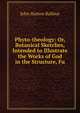 Phyto-theology: Or, Botanical Sketches, Intended to Illustrate the Works of God in the Structure, Fu, John Hutton Balfour 