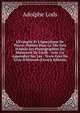 L'Evangile Et L'Apocalypse De Pierre: Publi?s Pour La 1Re Fois D'Apr?s Les Photographies Du Manuscrit De Giz?h : Avec Un Appendice Sur Les . Texte Grec Du Livre D'H?noch (French Edition), Adolphe Lods 