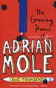 The Growing Pains of Adrian Mole (Adrian Mole 2), Townsend, Sue 