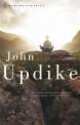 S: Novel (B), John Updike, Джон Апдайк 