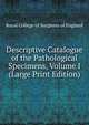 Descriptive Catalogue of the Pathological Specimens, Volume I (Large Print Edition), Royal College of Surgeons of England 