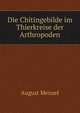Die Chitingebilde im Thierkreise der Arthropoden, August Menzel 