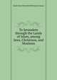 To Jerusalem through the Lands of Islam, among Jews, Christians, and Moslems, Emilie Jane Butterfield Meriman Loyson 