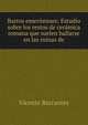 Barros emeritenses: Estudio sobre los restos de ceramica romana que suelen hallarse en las ruinas de, Vicente Barrantes 