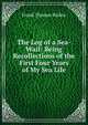 The Log of a Sea-Waif: Being Recollections of the First Four Years of My Sea Life, Frank Thomas Bullen 