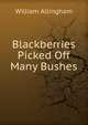 Blackberries Picked Off Many Bushes, William Allingham 