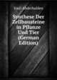 Synthese Der Zellbausteine in Pflanze Und Tier (German Edition), Emil Abderhalden 