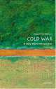The Cold War, Robert J. McMahon 