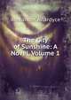 The City of Sunshine: A Novel, Volume 1, Alexander Allardyce 