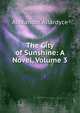 The City of Sunshine: A Novel, Volume 3, Alexander Allardyce 