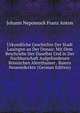 Urkundliche Geschichte Der Stadt Lauingen an Der Donau: Mit Dem Beschriebe Der Daselbst Und in Der Nachbarschaft Aufgefundenen Romischen Alterthumer . Baiern Neuentdeckte (German Edition), Johann Nepomuck Franz Anton 