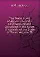 The Texas Court of Appeals Reports: Cases Argued and Adjudged in the Court of Appeals of the State of Texas, Volume 28, A M. Jackson 