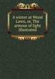 A winter at Wood Lawn, or, The armour of light illustrated, 