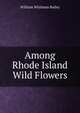 Among Rhode Island Wild Flowers, William Whitman Bailey 