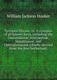 Synopsis filicum; or, A synopsis of all known ferns, including the Osmundace?, Schiz?sve?, Marattiace?, and Ophioglossace? (chiefly derived from the Kew herbarium), William Jackson Hooker 