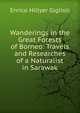 Wanderings in the Great Forests of Borneo: Travels and Researches of a Naturalist in Sarawak, Enrico Hillyer Giglioli 