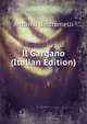 Il Gargano (Italian Edition), Antonio Beltramelli 