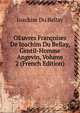 OEuvres Francoises De Ioachim Du Bellay, Gentil-Homme Angevin, Volume 2 (French Edition), Joachim Du Bellay 