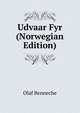 Udvaar Fyr (Norwegian Edition), Olaf Benneche 