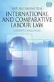 International and Comparative Labour Law: Current Challenges, Arturo Bronstein 