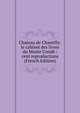 Chateau de Chantilly: le cabinet des livres du Musee Conde : cent reproductions (French Edition), 