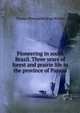 Pioneering in south Brazil. Three years of forest and prairie life in the province of Parana, Thomas Plantagenet Bigg-Wither 